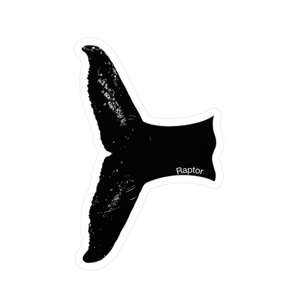 Raptor Kiss-Cut Vinyl Decal